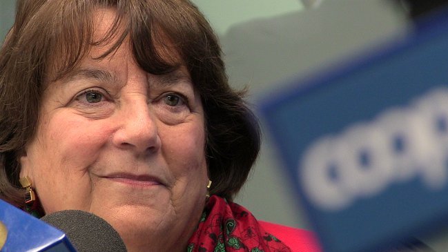 Delpiano y gratuidad universal: El siguiente Gobierno verá de dónde salen los recursos