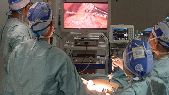 Imagen foto_00000015