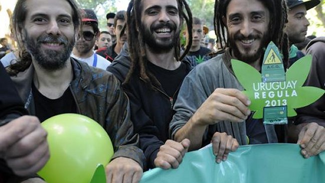 ¿Por qué solo 50 de 1.200 farmacias uruguayas comenzarán a vender marihuana legal?