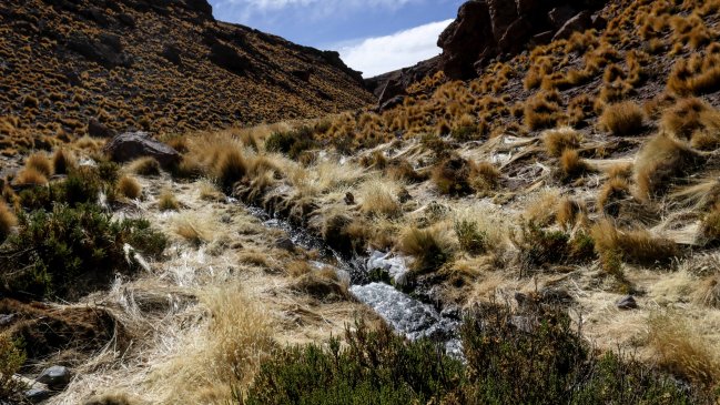 Chile y Bolivia discuten en La Haya plazos en disputa sobre el Silala