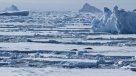 La Historia es Nuestra: Un continente libre para la investigación, la utopía real del Tratado Antártico