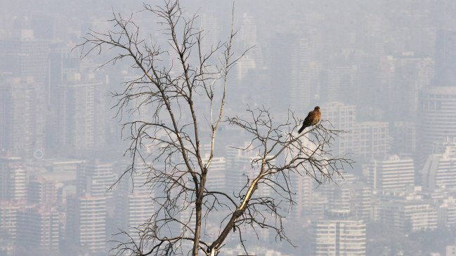 Santiago vive jornada de emergencia ambiental