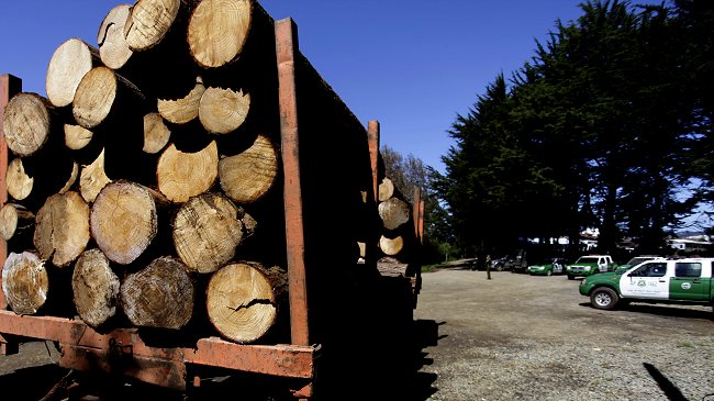 Defensoría impugnará en la Corte Suprema condena a comuneros mapuche