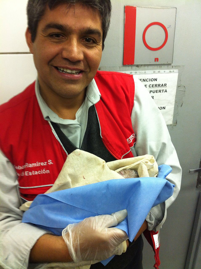 Imagen foto_00000002