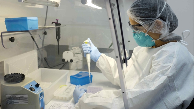 Registran primera muerte asociada al virus zika en EE.UU. continental