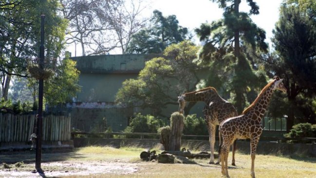 Comenzó la transformación del zoológico de Buenos Aires en un parque ecológico