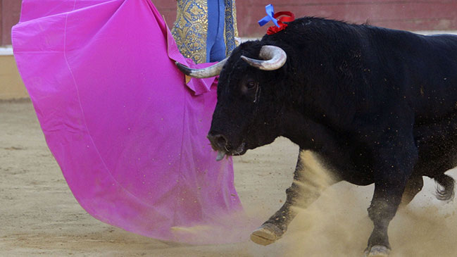 Investigan mensajes en redes sociales contra torero muerto por cornada