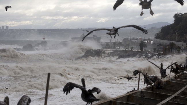 Alarma por vientos de hasta 95 kilómetros por hora entre Valparaíso y Biobío