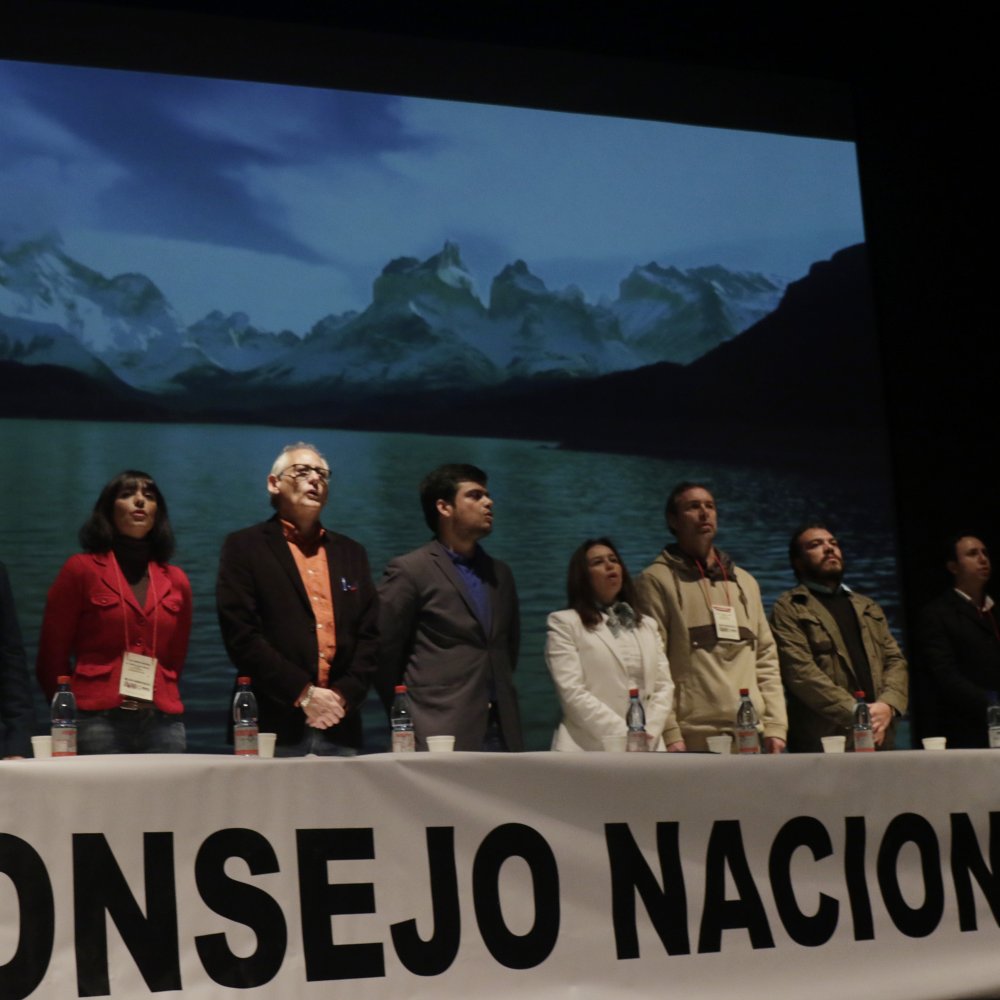 PPD confirmó que tendrá precandidato presidencial propio