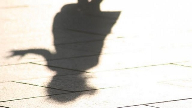 Mujer intentó secuestrar a una niña en Recoleta