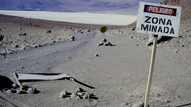 Unidad de Desminado del Ejército encontró osamentas humanas en frontera con Perú