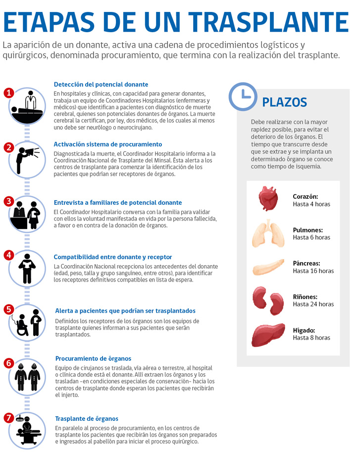 Paso a paso trasplantes