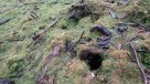 Sernageomin aclaró origen de agujeros en Chaitén