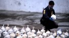 PDI desarticuló banda narco que enviaría cocaína a España