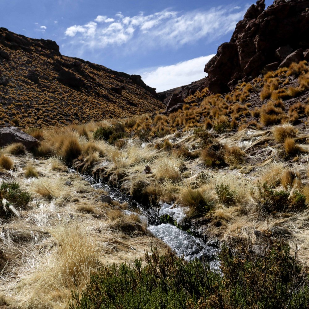 Partido de Evo Morales presentó proyectos de ley para poblar y desarrollar la zona del Silala