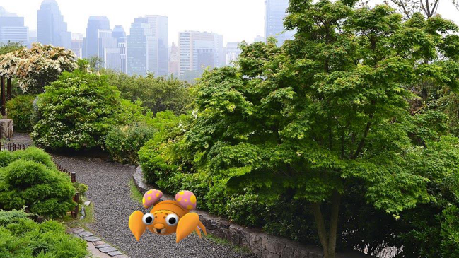 Imagen foto_00000015