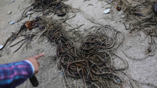 A tres meses de la crisis en Chiloé: Así avanzan acuerdos entre el Gobierno y pescadores