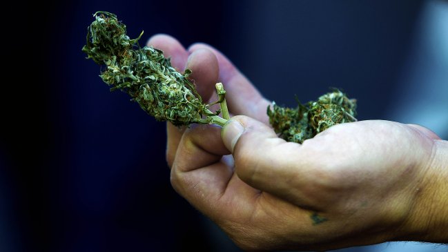 Estados Unidos rechazó sacar la marihuana de lista de drogas más peligrosas