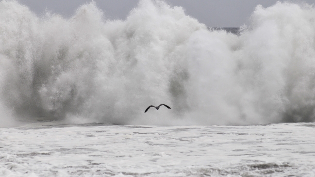 Anuncian marejadas desde este domingo en las costas de Chile