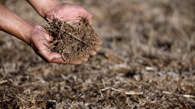 Académicos maulinos estudian cómo resguardar la agricultura ante el cambio climático