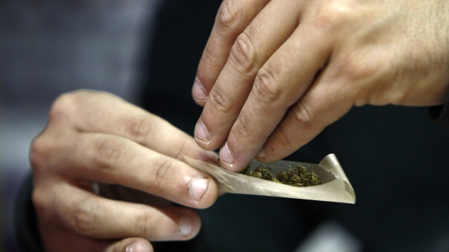 Oferta de cannabis en farmacias en Uruguay no cubrirá demanda, según autoridades