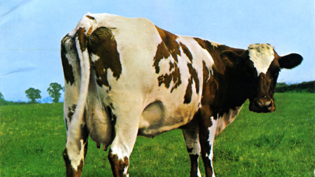 Pink Floyd anuncia nueva ola de reedición de sus discos en formato vinilo