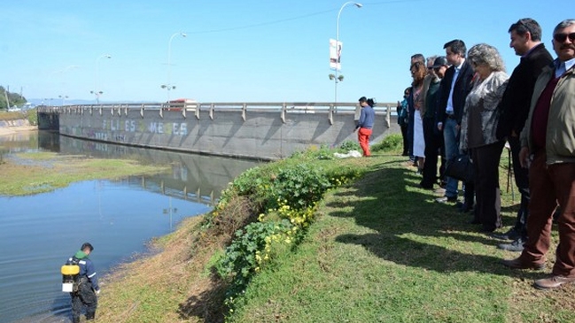 Viña del Mar adelantó programa para control de zancudos