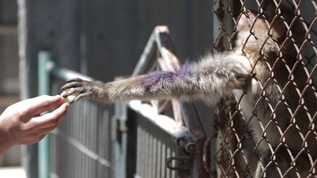 Imagen foto_00000001