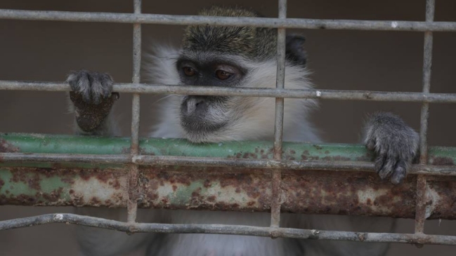 Imagen foto_00000002