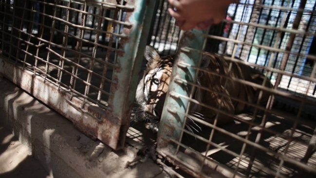 Imagen foto_00000004