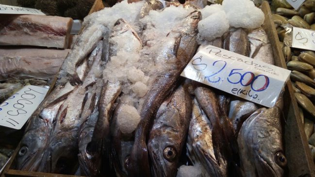 Sernapesca advierte: 