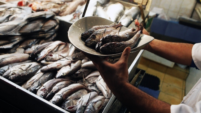 Este jueves comenzó la veda de la merluza en todo Chile