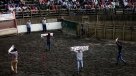 Convocan para este sábado a gran movilización nacional contra el rodeo