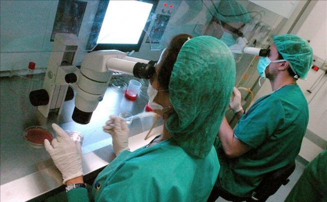 Descubren mecanismo para evitar que la enfermedad de Crohn derive en fibrosis