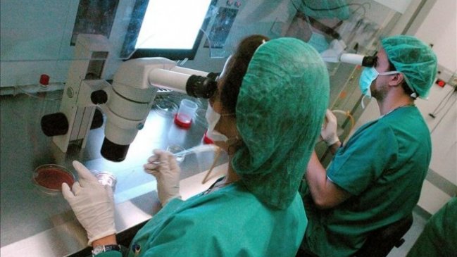 Descubren mecanismo para evitar que la enfermedad de Crohn derive en fibrosis