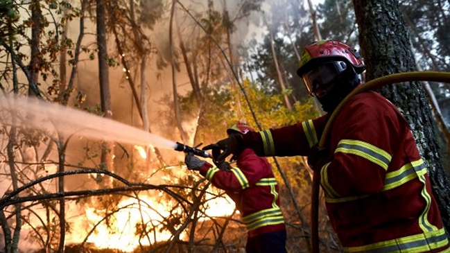 Más de 350 bomberos combaten un incendio forestal de grandes dimensiones en Portugal