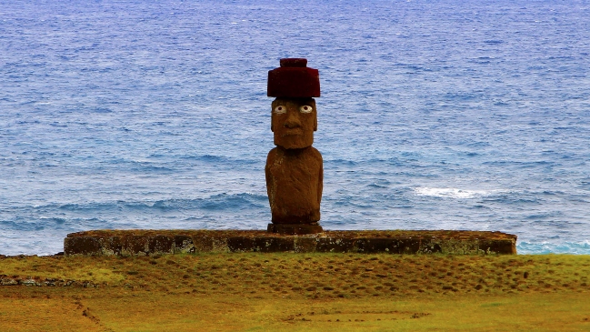 Denuncian muerte de caballos en Isla de Pascua por una planta no autóctona de la zona