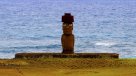 Denuncian muerte de caballos en Isla de Pascua por una planta no autóctona de la zona