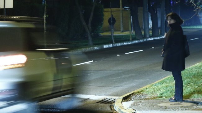 Choque de un pájaro con el tendido eléctrico provocó masivo corte en Valdivia