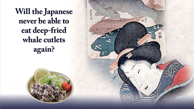 Filme japonés a favor de la caza ballenas busca apoyo financiero