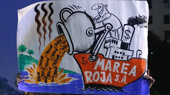 Caso salmones: Fiscalía no descarta interrogar a intendente de Los Lagos