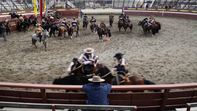 Rodeo: ¿Deporte o maltrato animal?