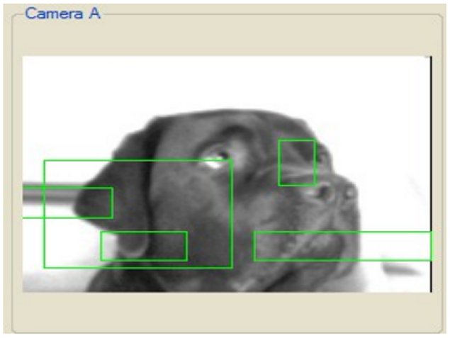 Imagen foto_00000016