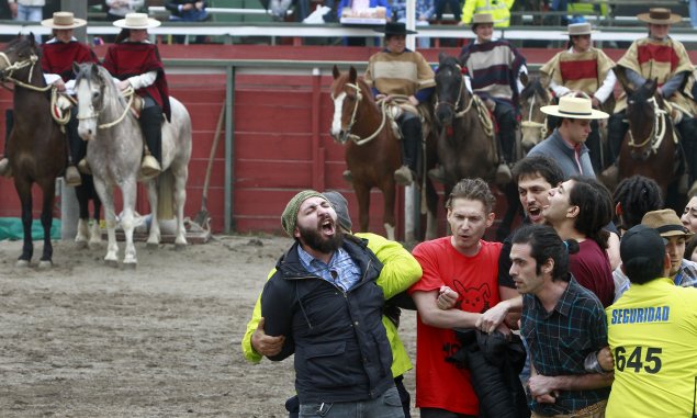 Imagen foto_00000001