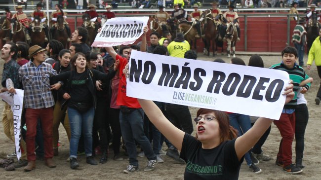 Animalistas irrumpieron en masa en rodeo del Parque Alberto Hurtado