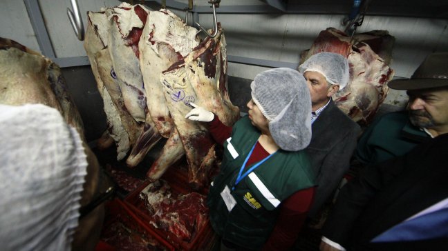 Fiestas Patrias: Se han decomisado 3,5 toneladas de carne vencida en Santiago