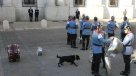 Perros intrusos, protocolo y últimos detalles: La trastienda de este \