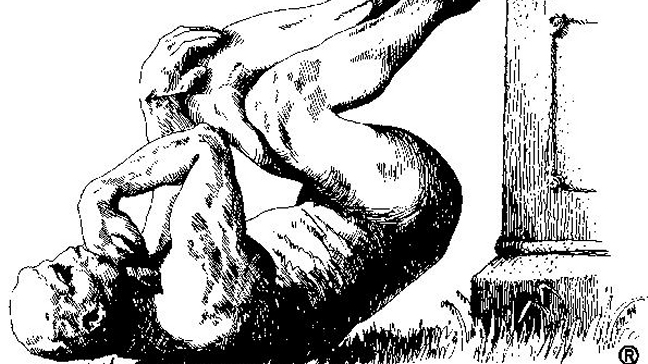 Los Ig Nobel premian estudio sobre vida sexual de las ratas