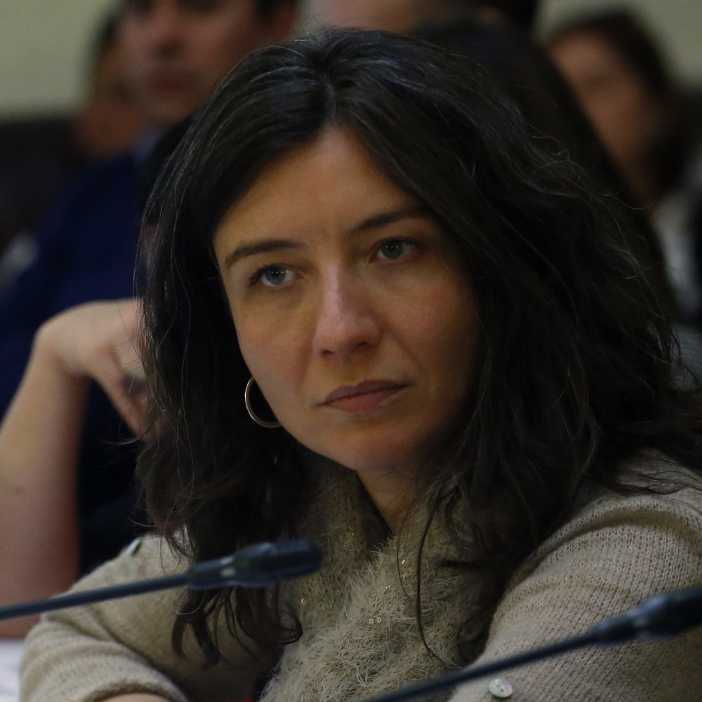 Subsecretaria rechaza retirar reforma: Seguir con el sistema actual es de alta complejidad