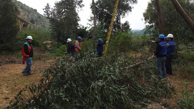  Tala ilegal de árboles provocó falla en Merval  